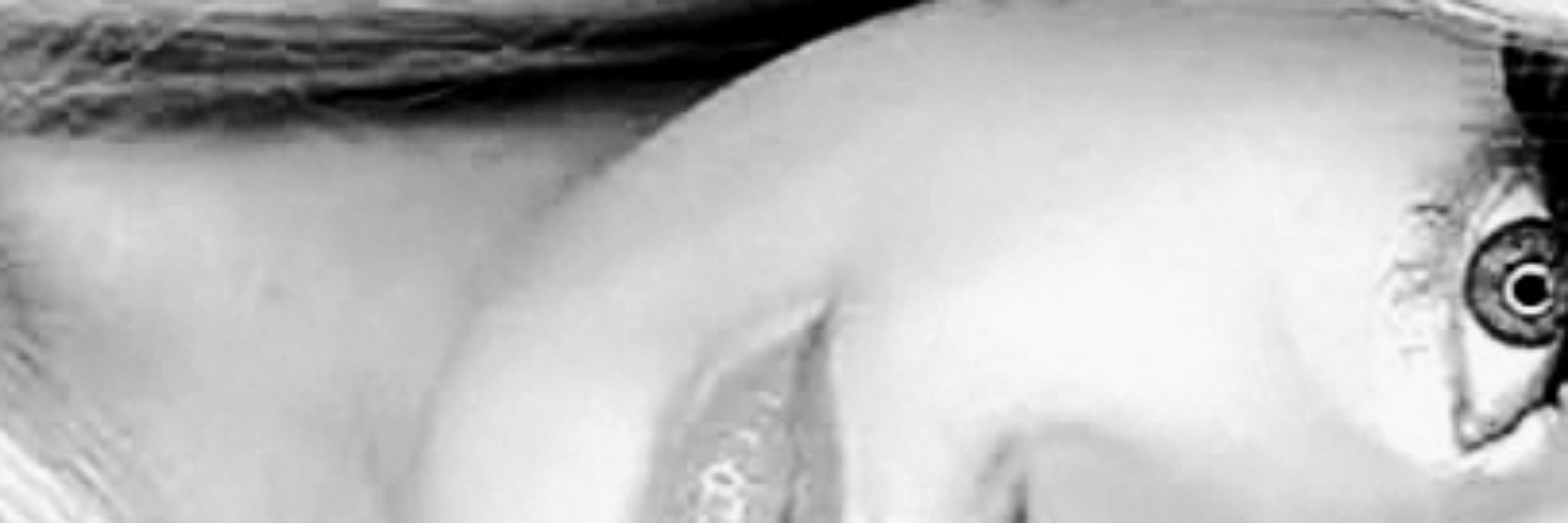 Demi Morro