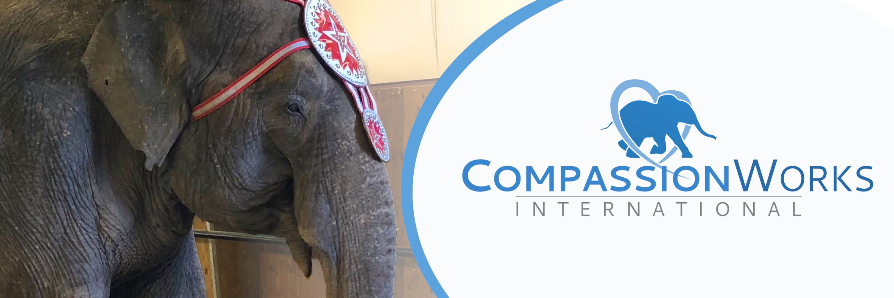 CompassionWorks International