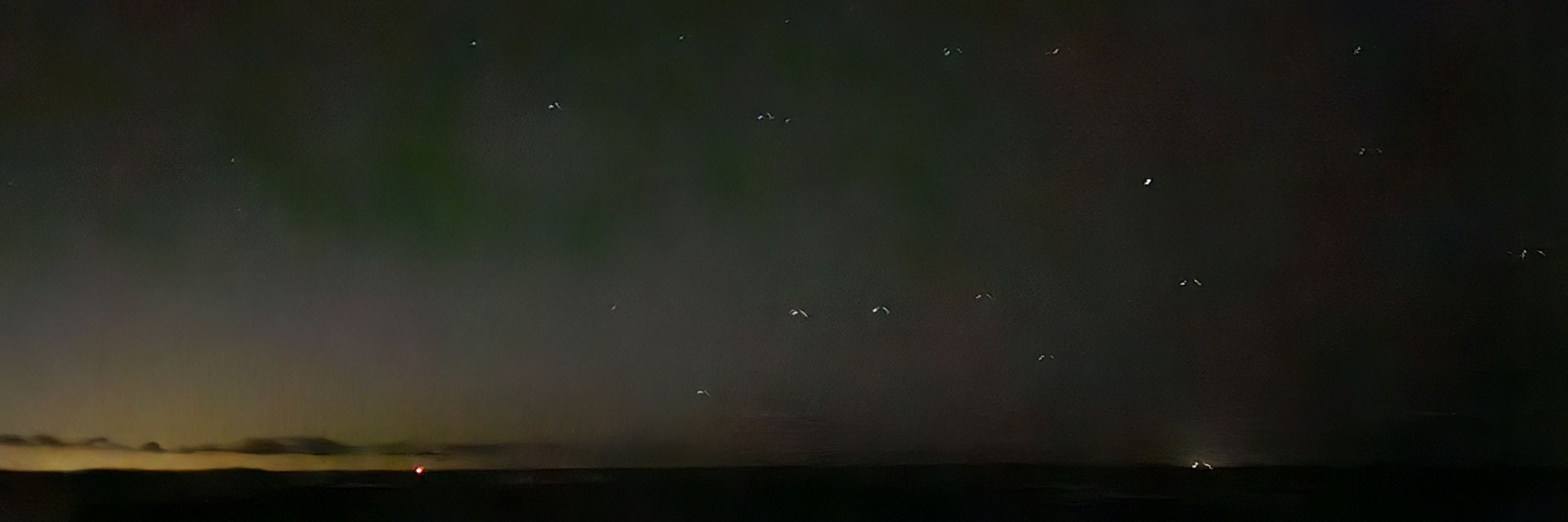 Orion ⭐️⭐️⭐️