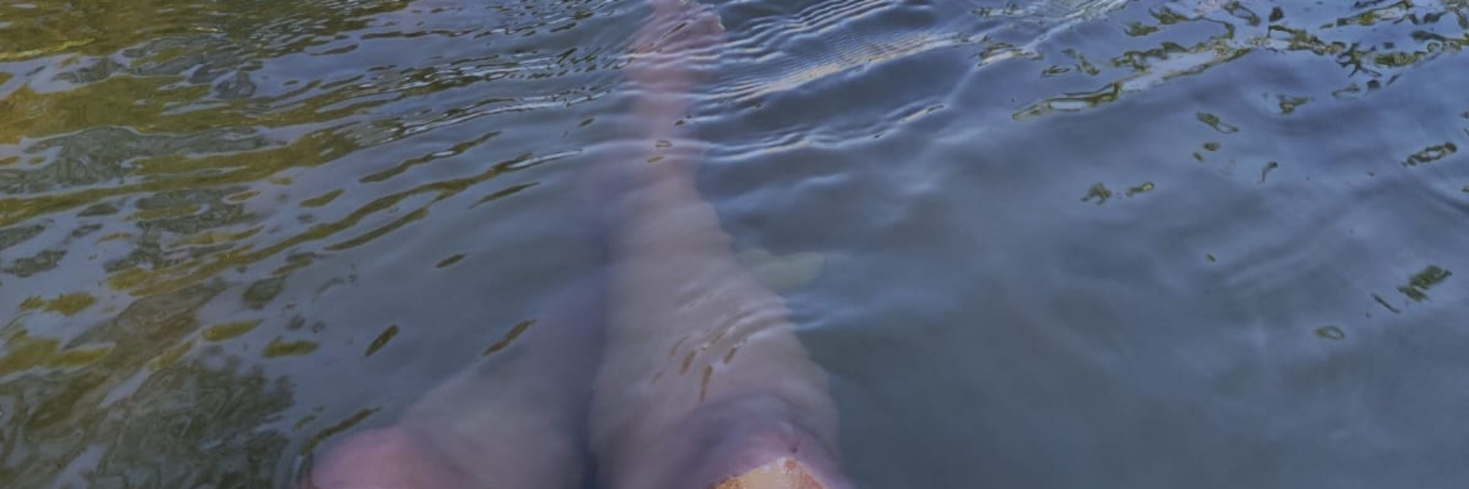 Ray