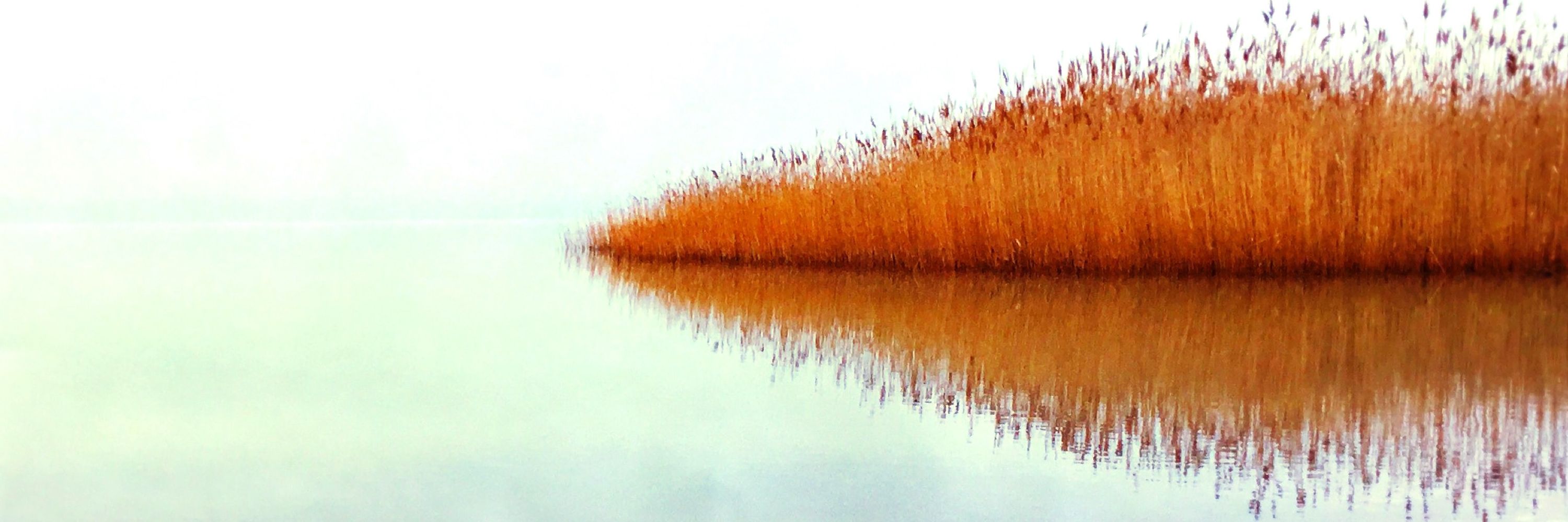 Christine Mignon