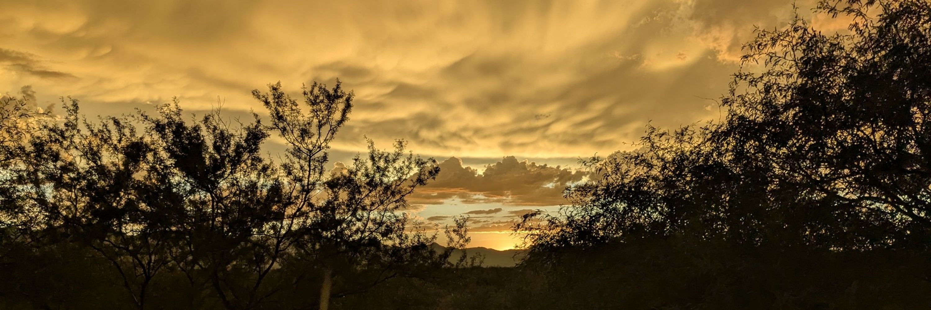 Arizona Trail Camera