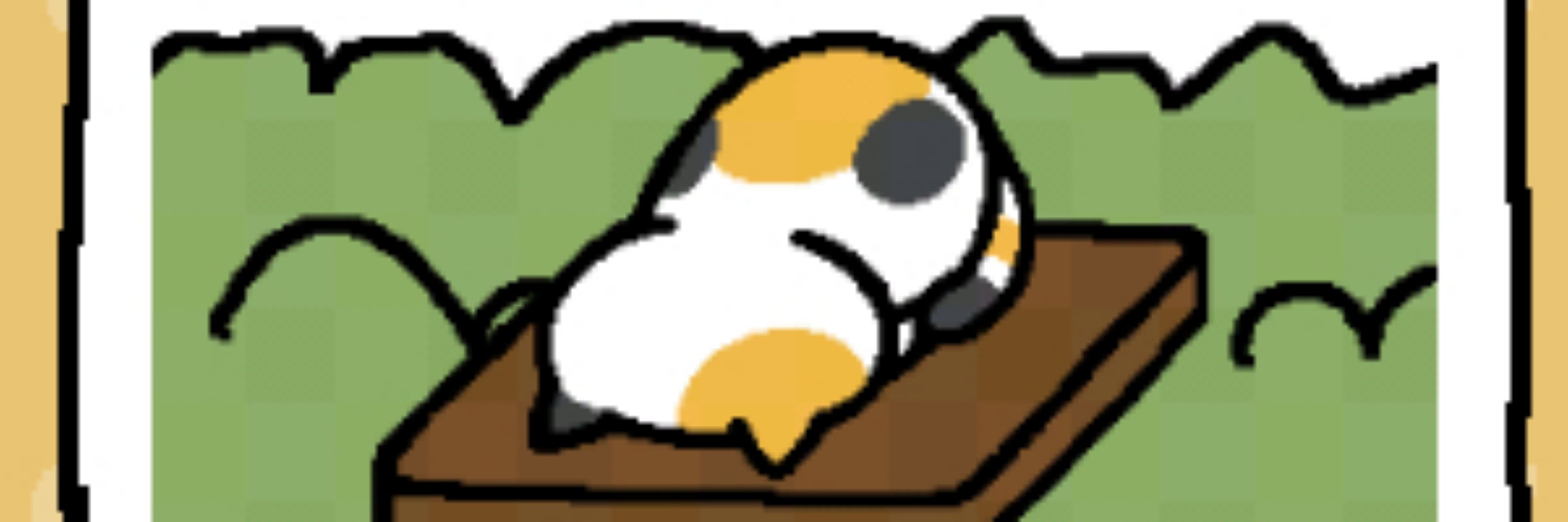 こーぬ
