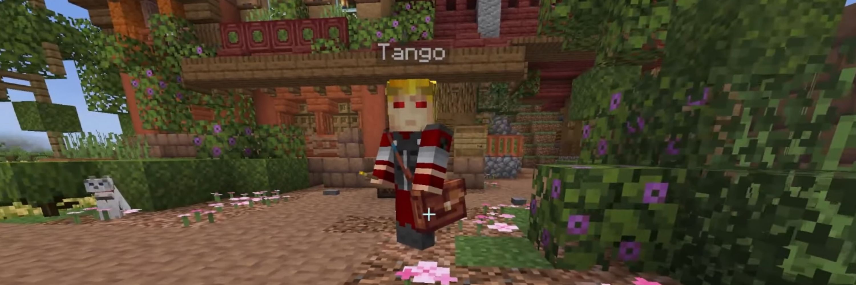 tango 🚦