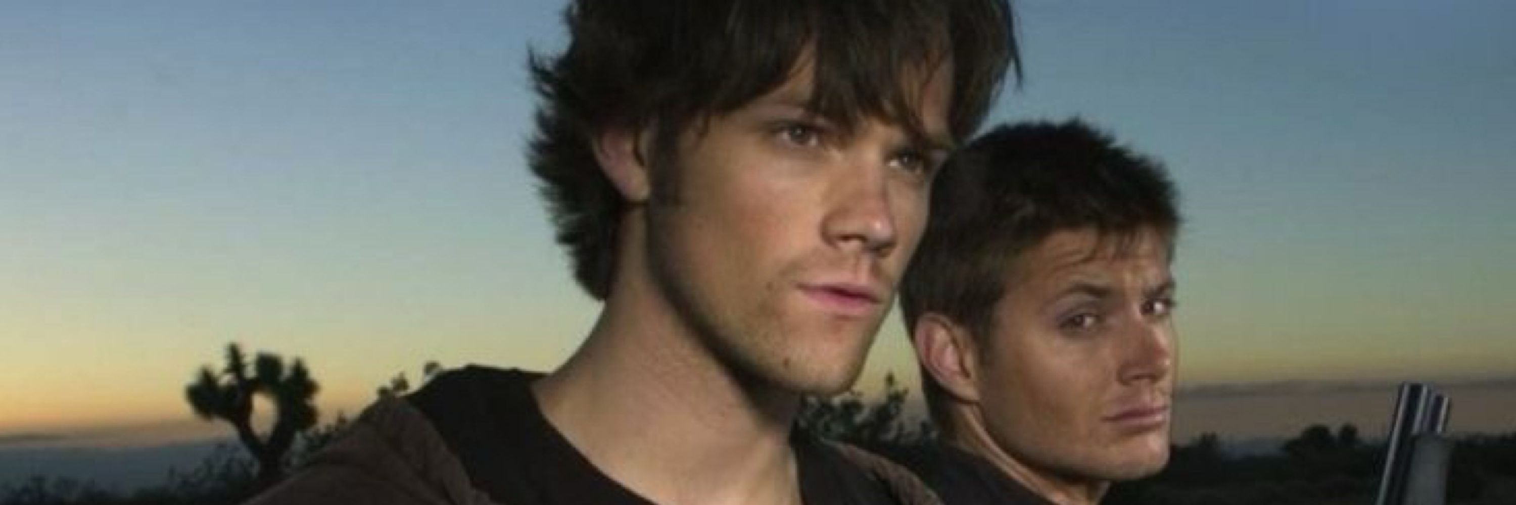 Gustavo Ackles 