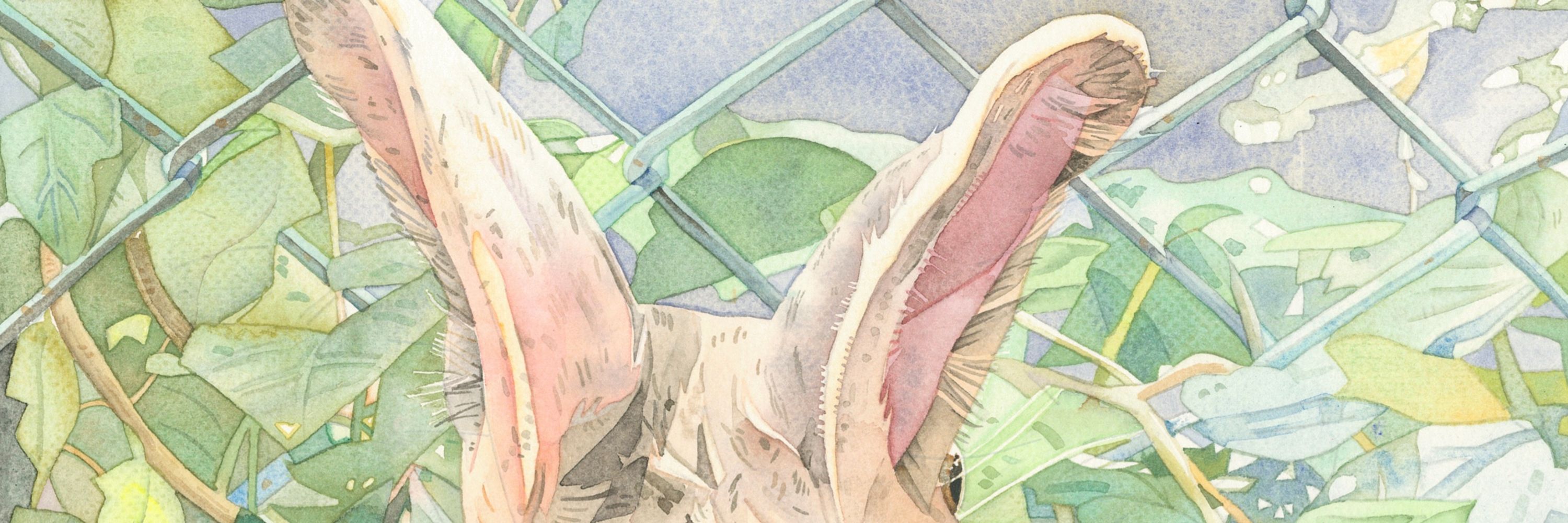 うなぎ