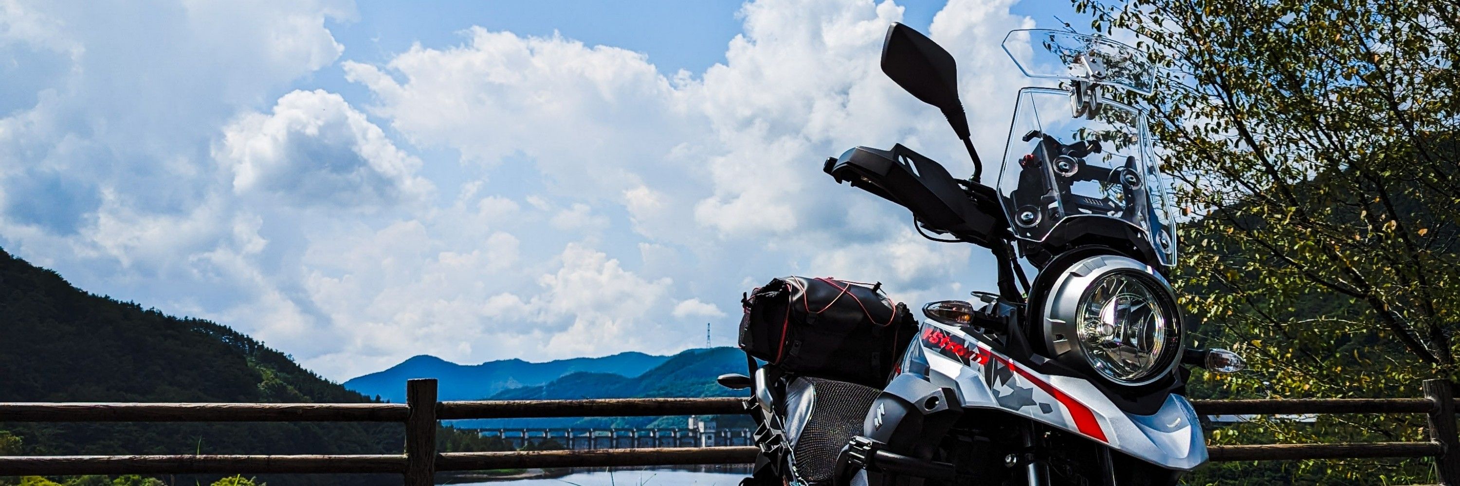 朝は納豆 バイクはVスト