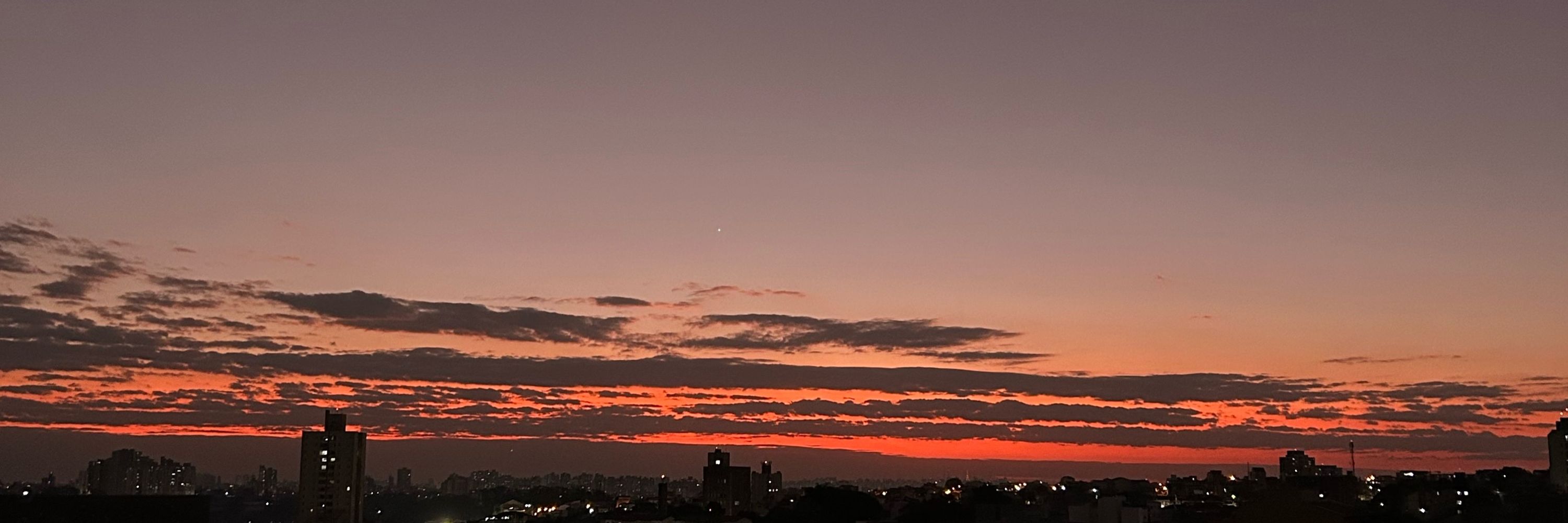 Isabella Procopio 🧿