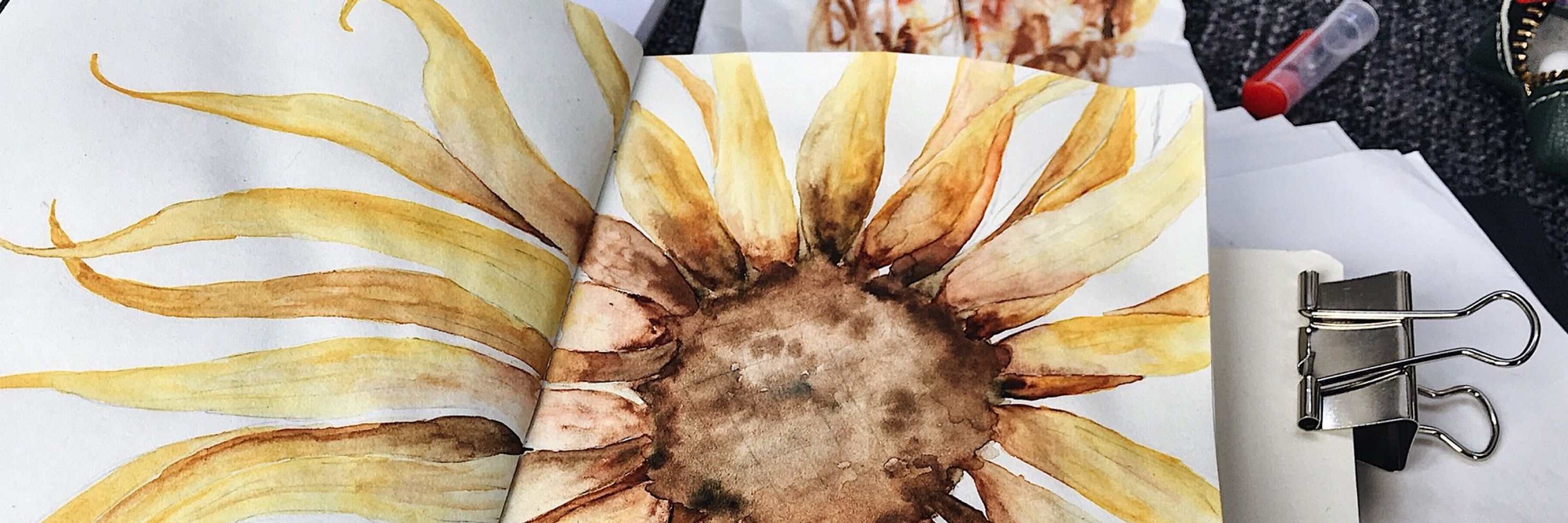 Junli • culture and botanical artist 🎨🌻