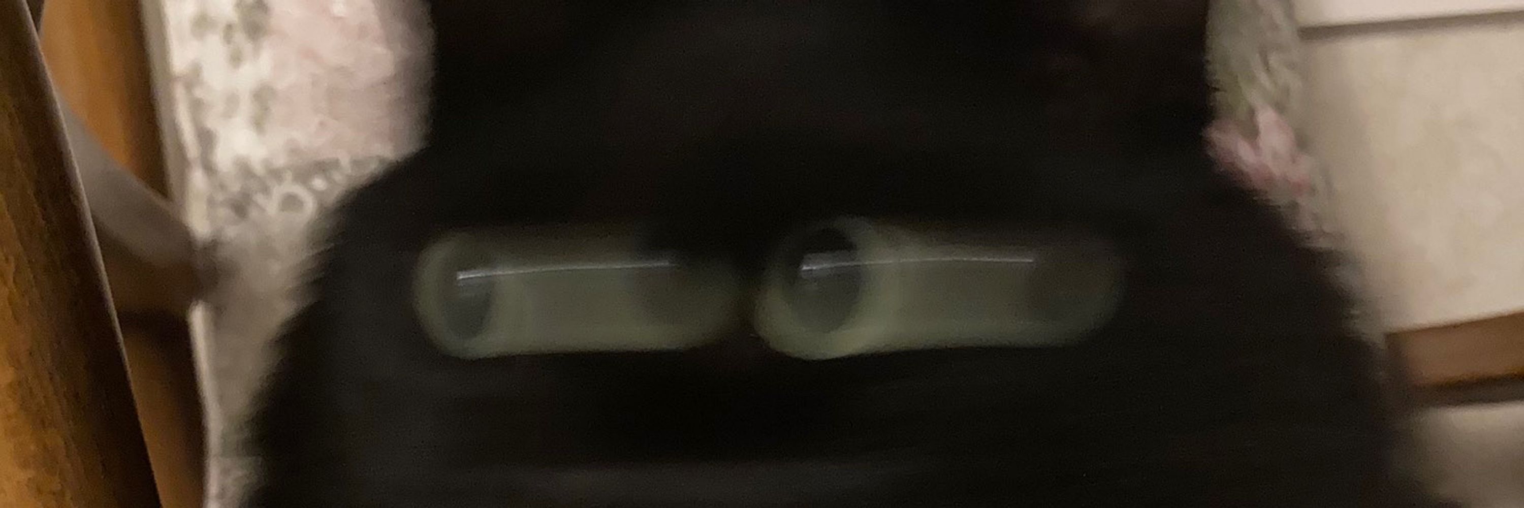 N0153