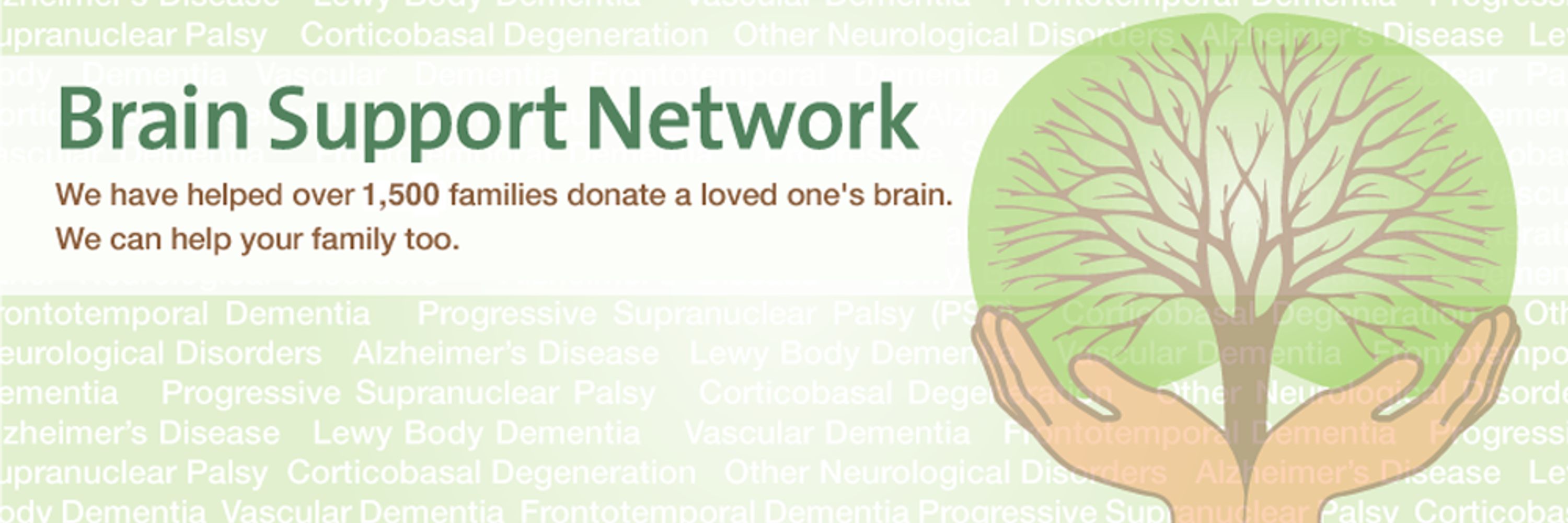 Brain Support Network