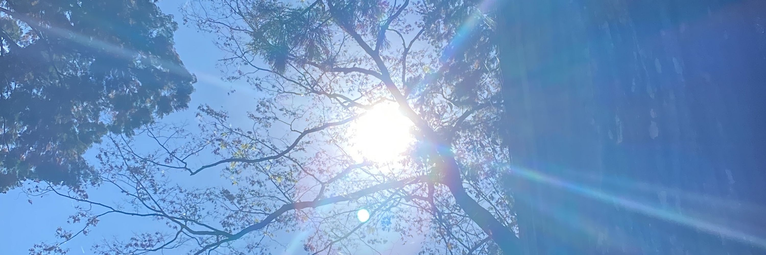 Astro ⭐︎ Sky
