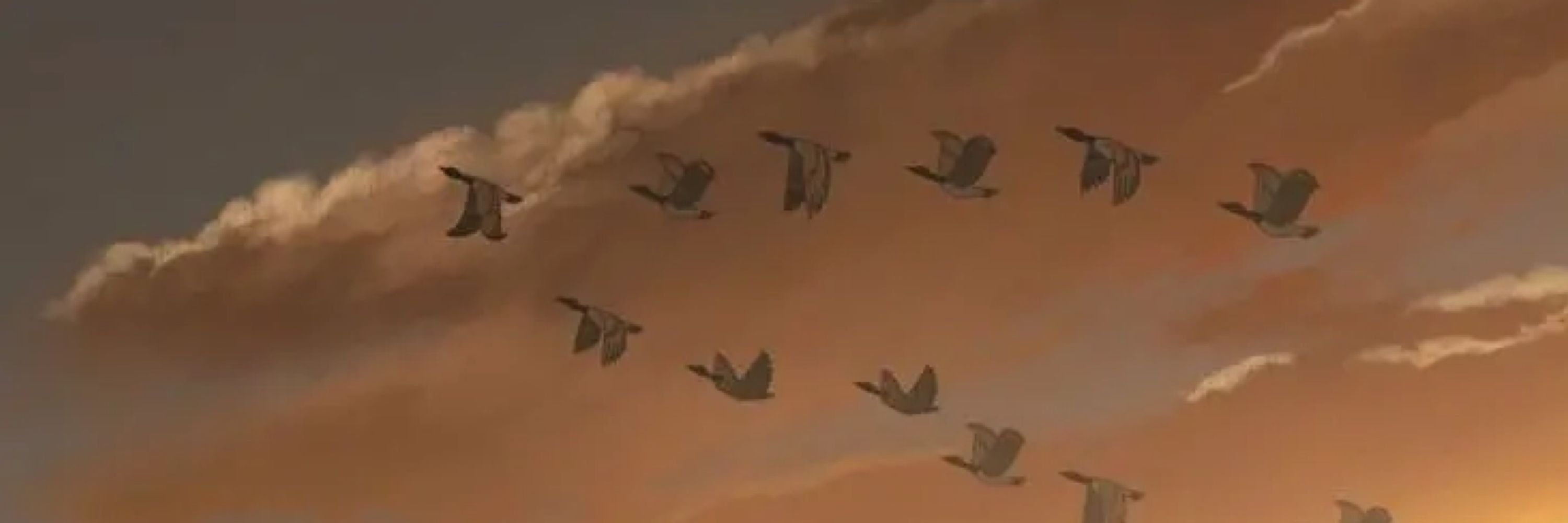 Storm Marie Baca