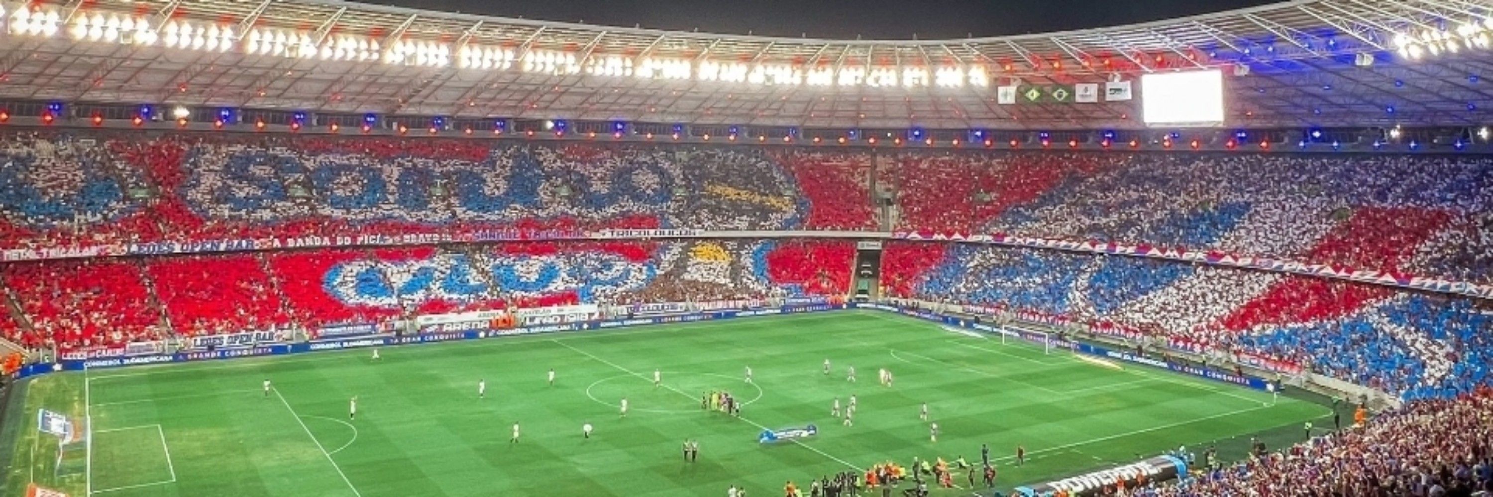 Fã do lj8