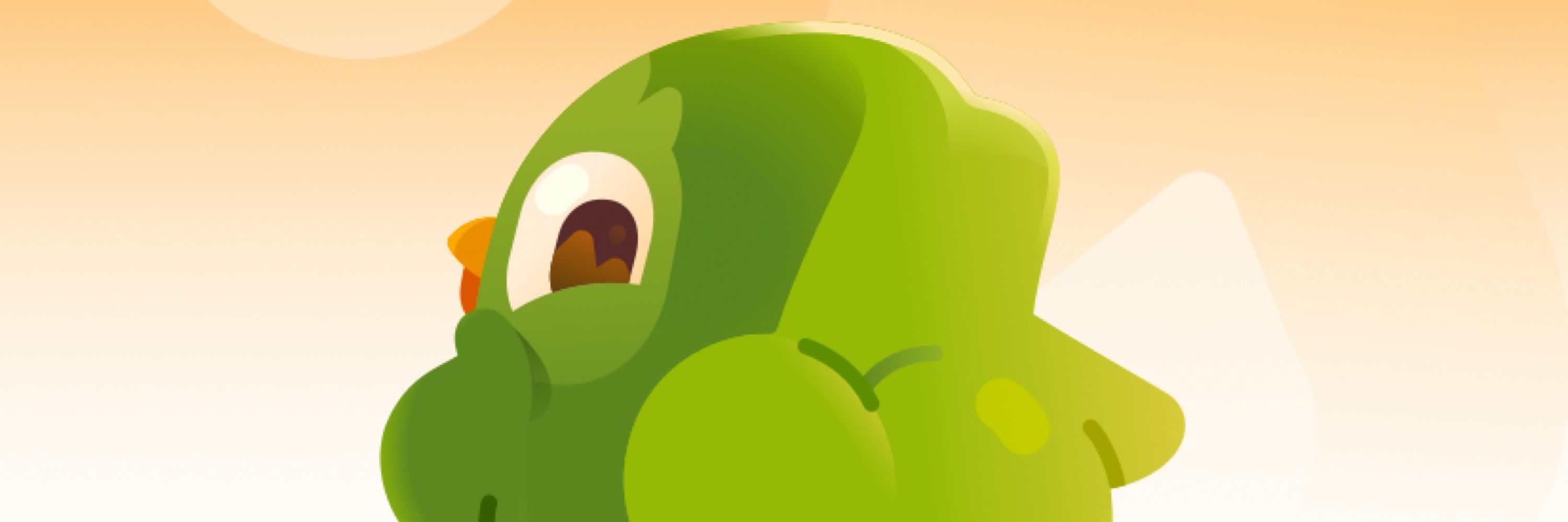 shrileden3.bsky.social