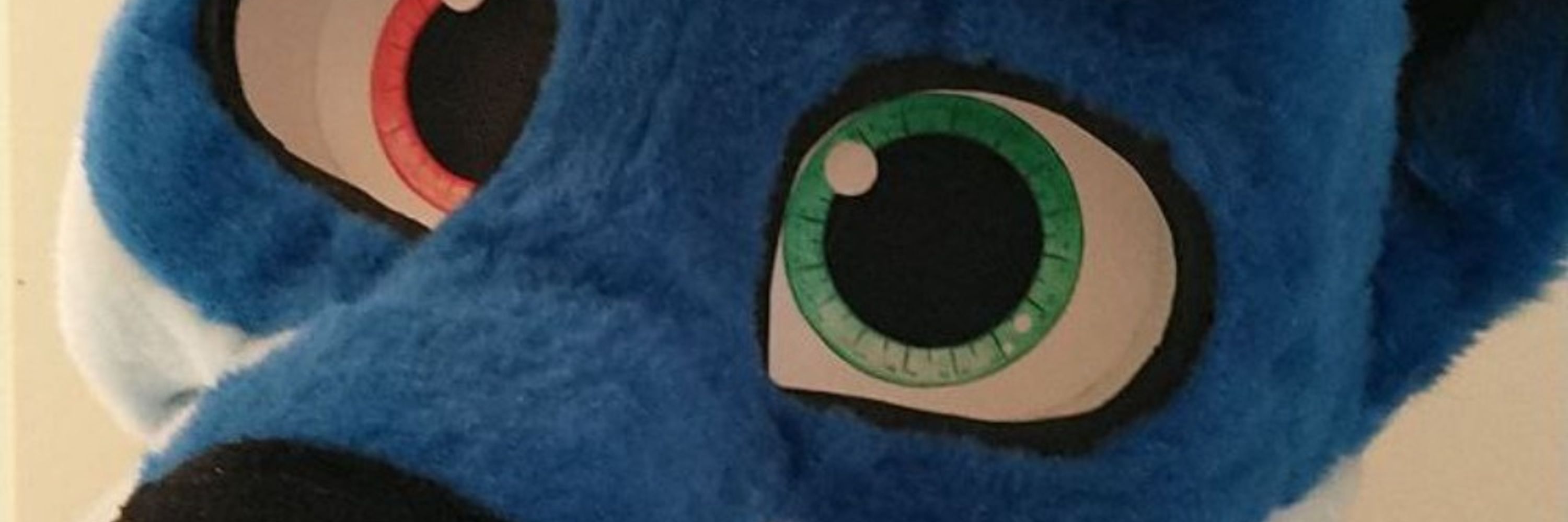 Bluedis 