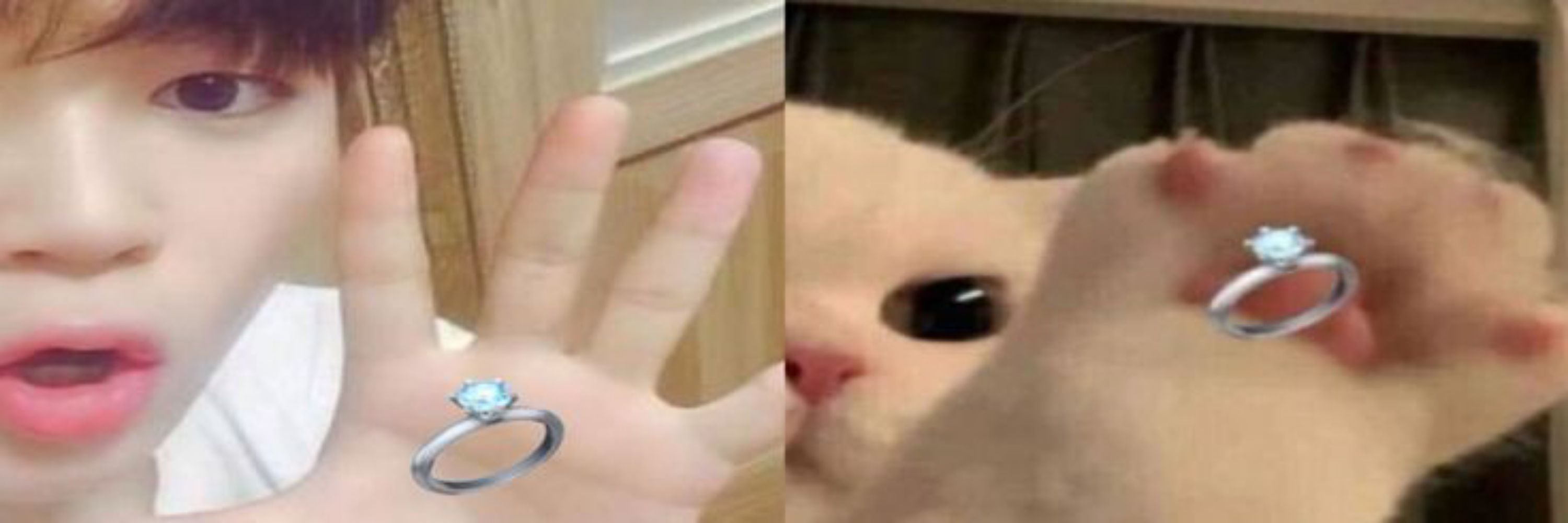 bellinha miau💋