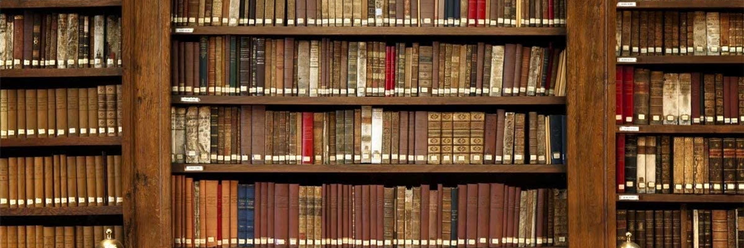 Bookish Dame
