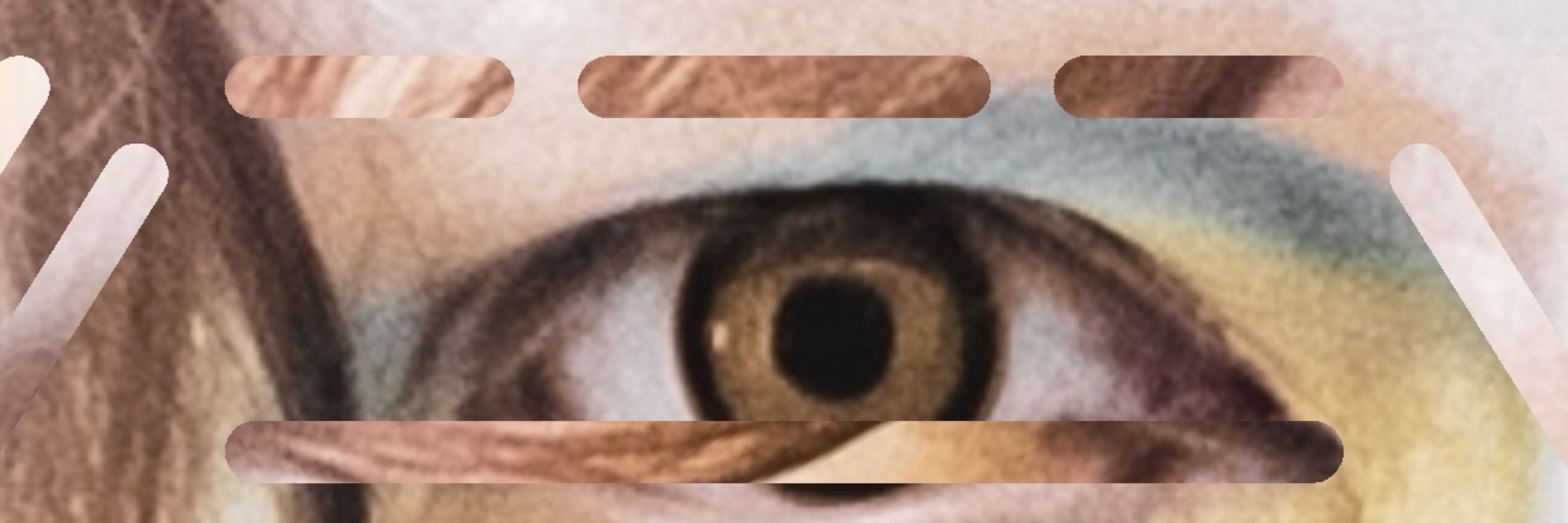 ✷ 𝔹𝕠𝕘𝕠𝕝𝕖𝕡𝕠𝕧 ✷