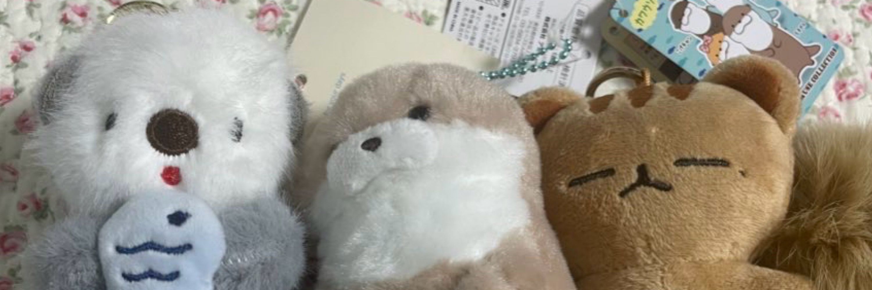 푸즈가된망고