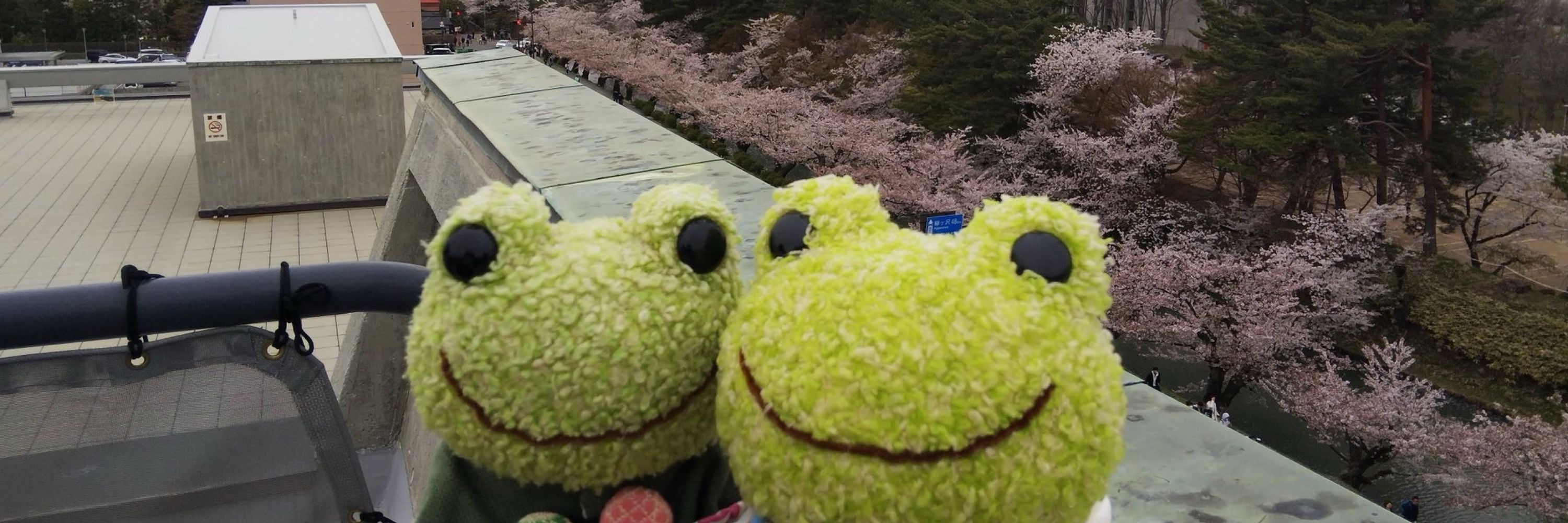 さい
