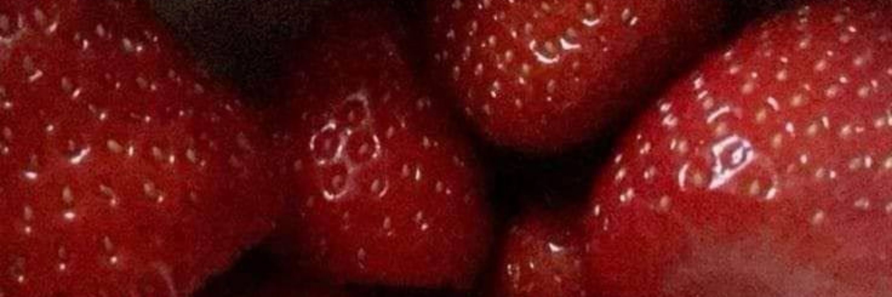 🍓 ⚢