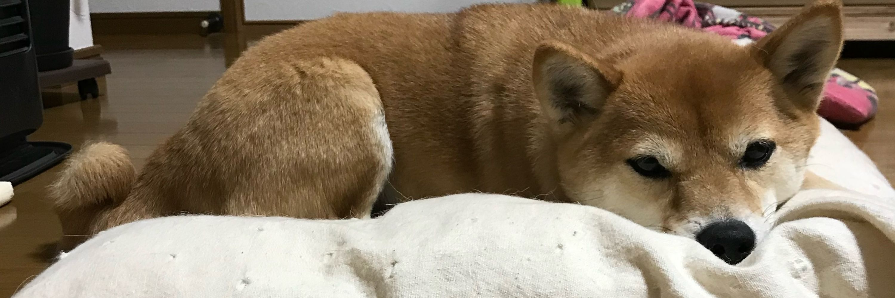 宵まつり