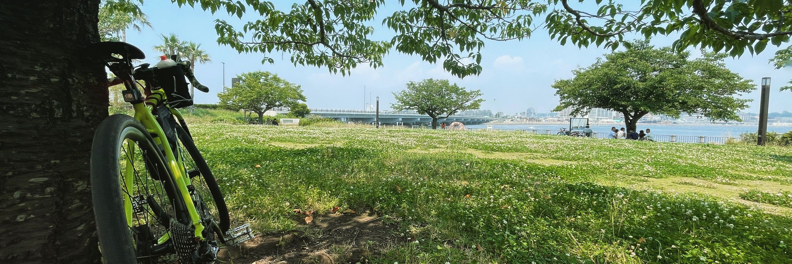 ucchie / Kazuyuki UCHIYAMA