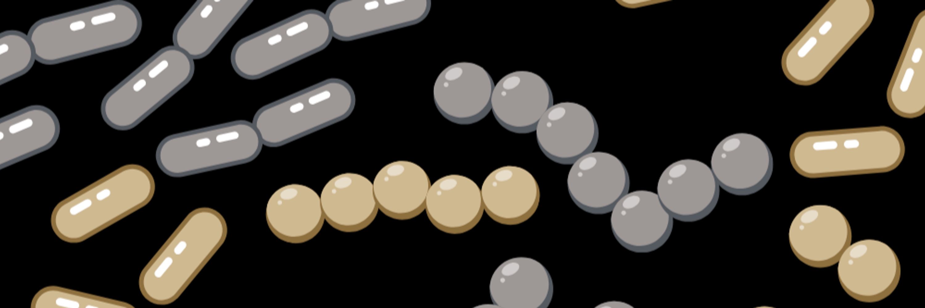 Purdue Applied Microbiome Sciences
