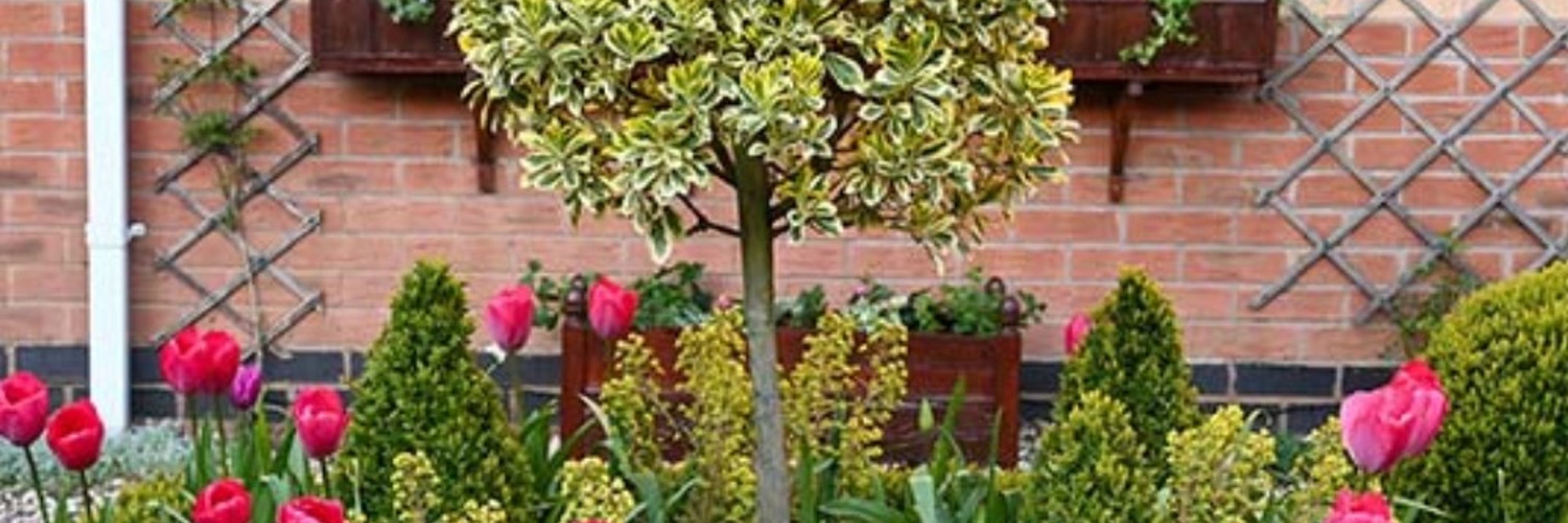 Jon Norman - Garden Design