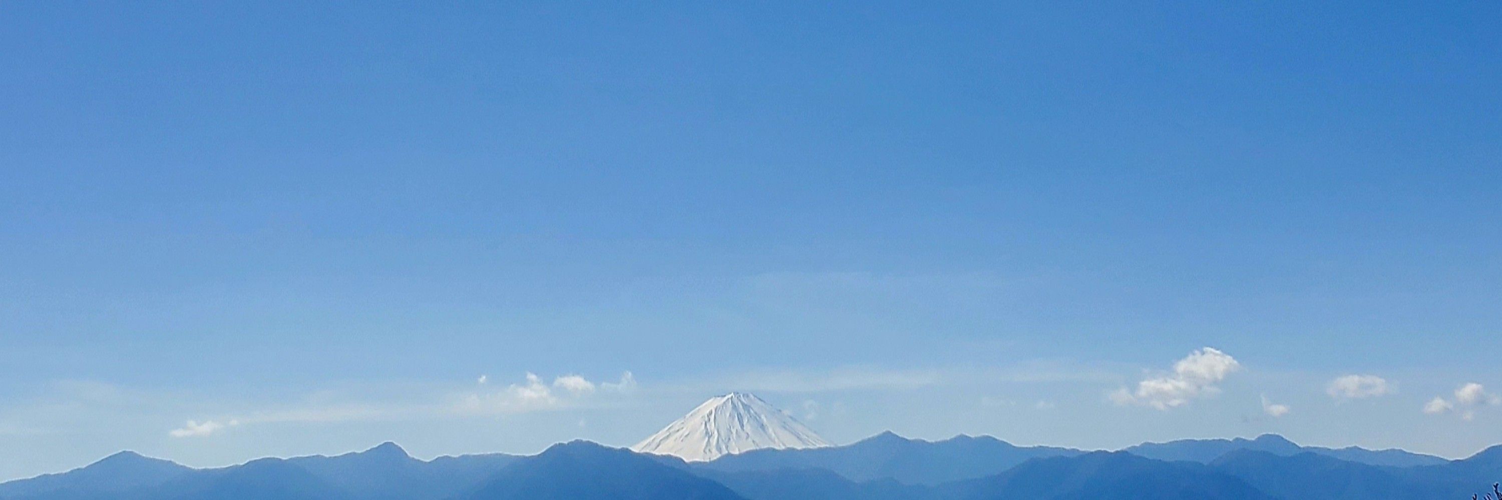 Yuson