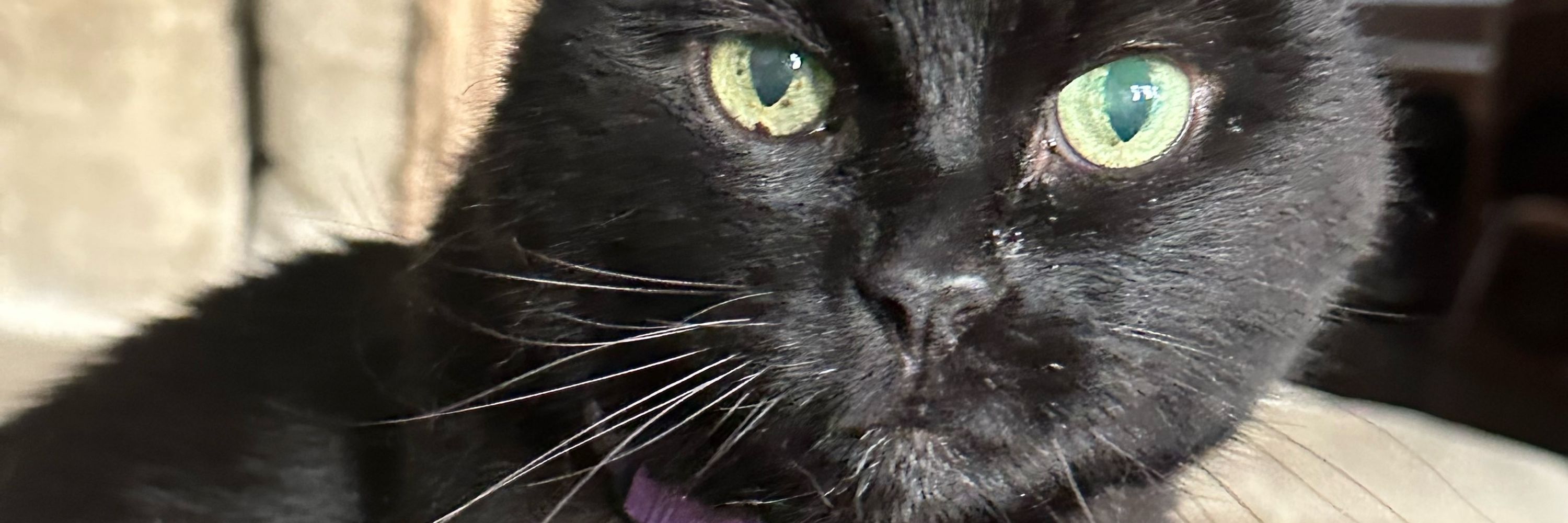 Marley