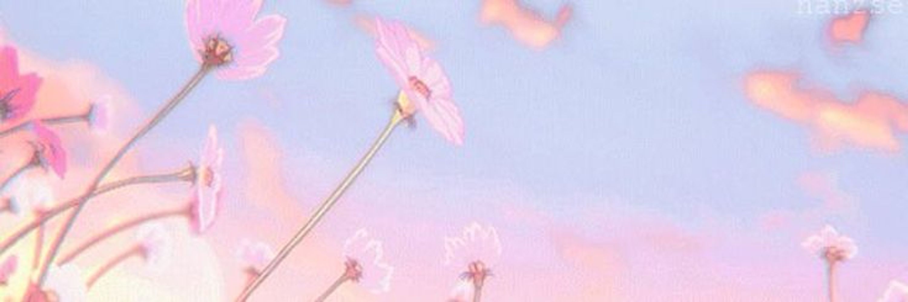 petalpotions⁷