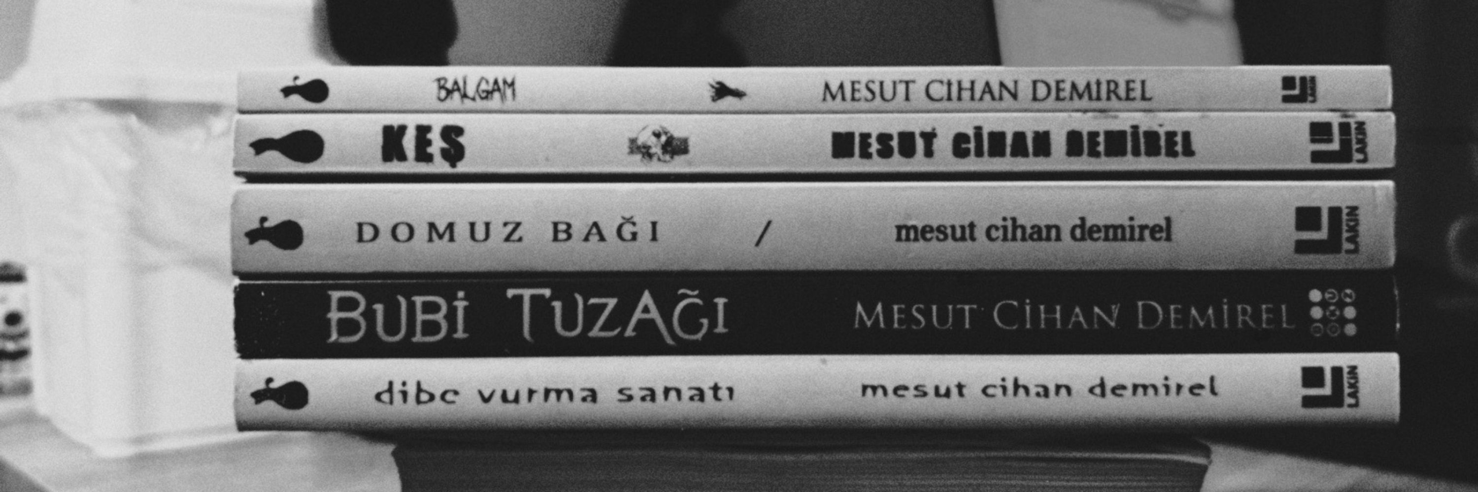 Mesut Cihan Demirel