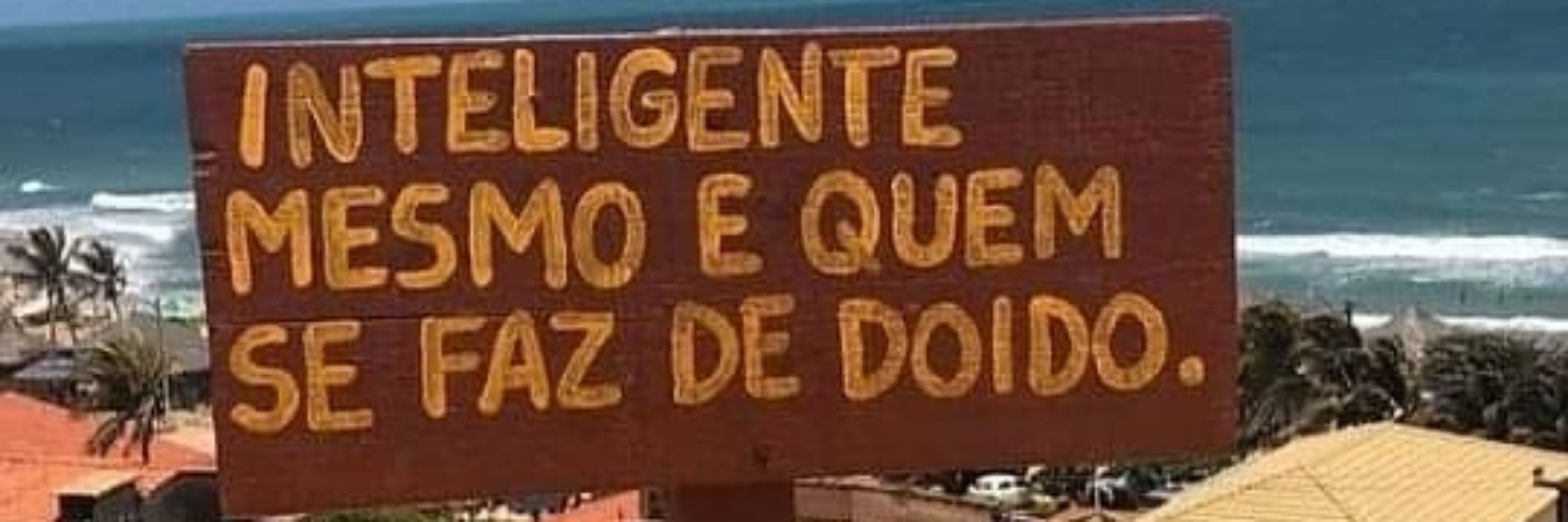 Carol 💙