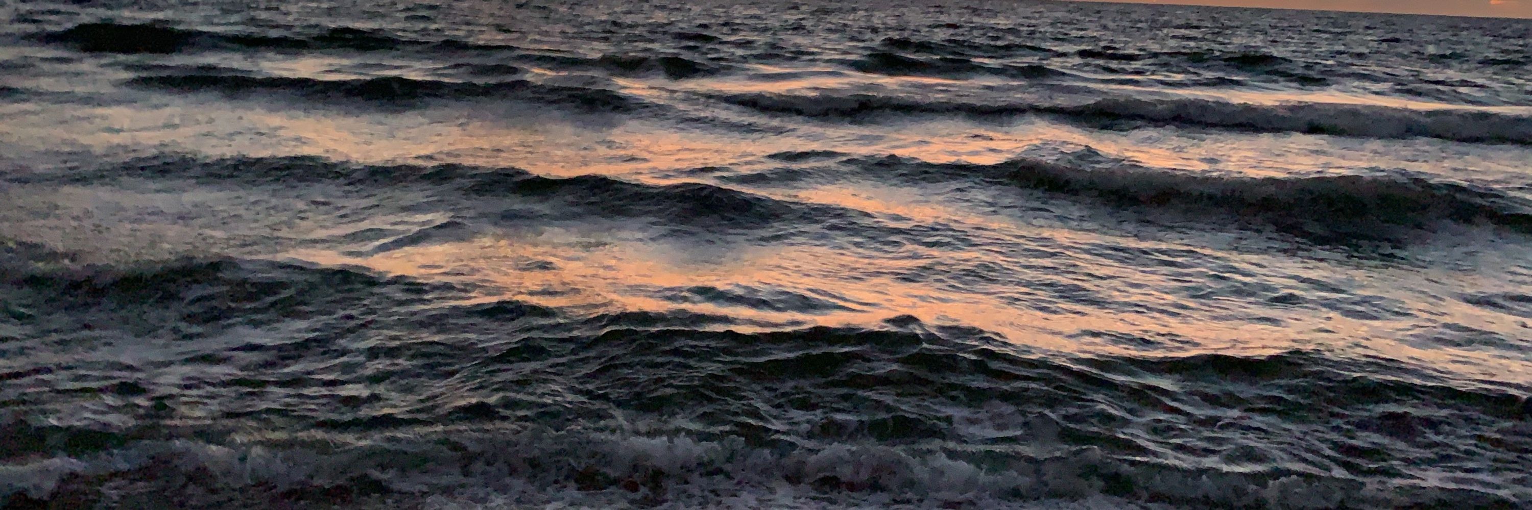 S_tx_openminded82