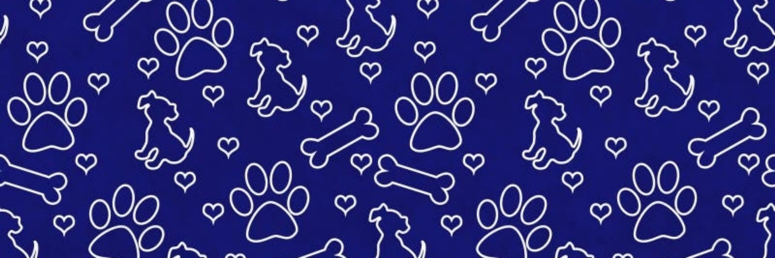 Pup BoltBlue 🐾