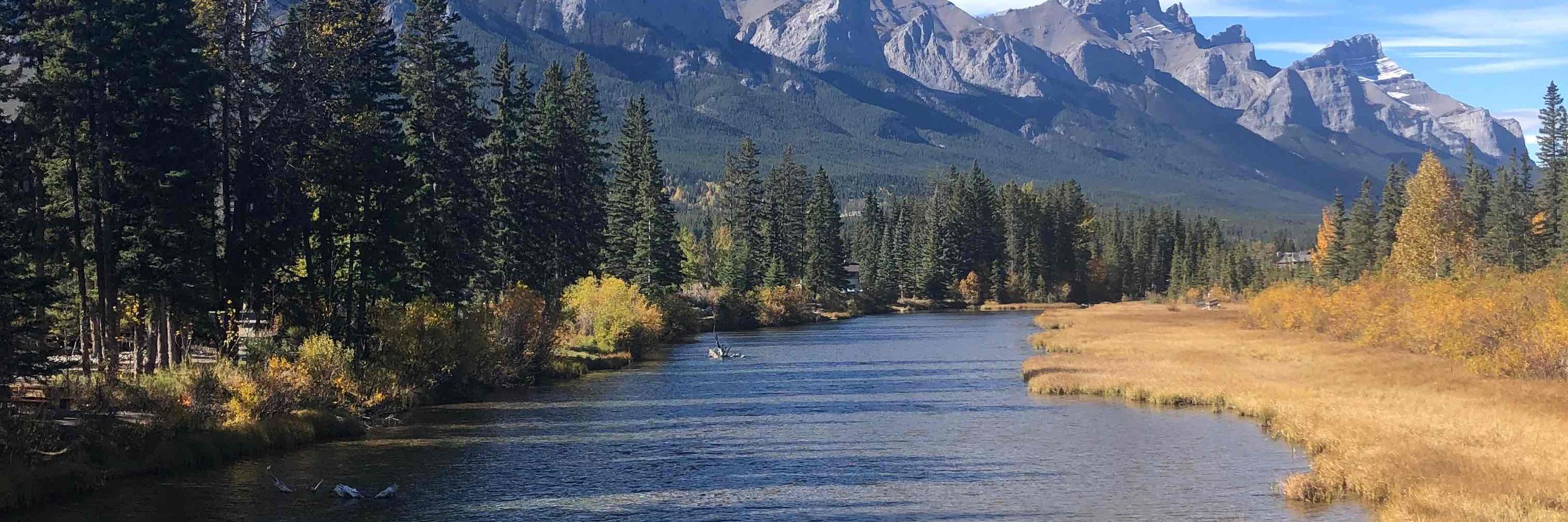Respect and Protect Nature 🇨🇦 🍁🇨🇦