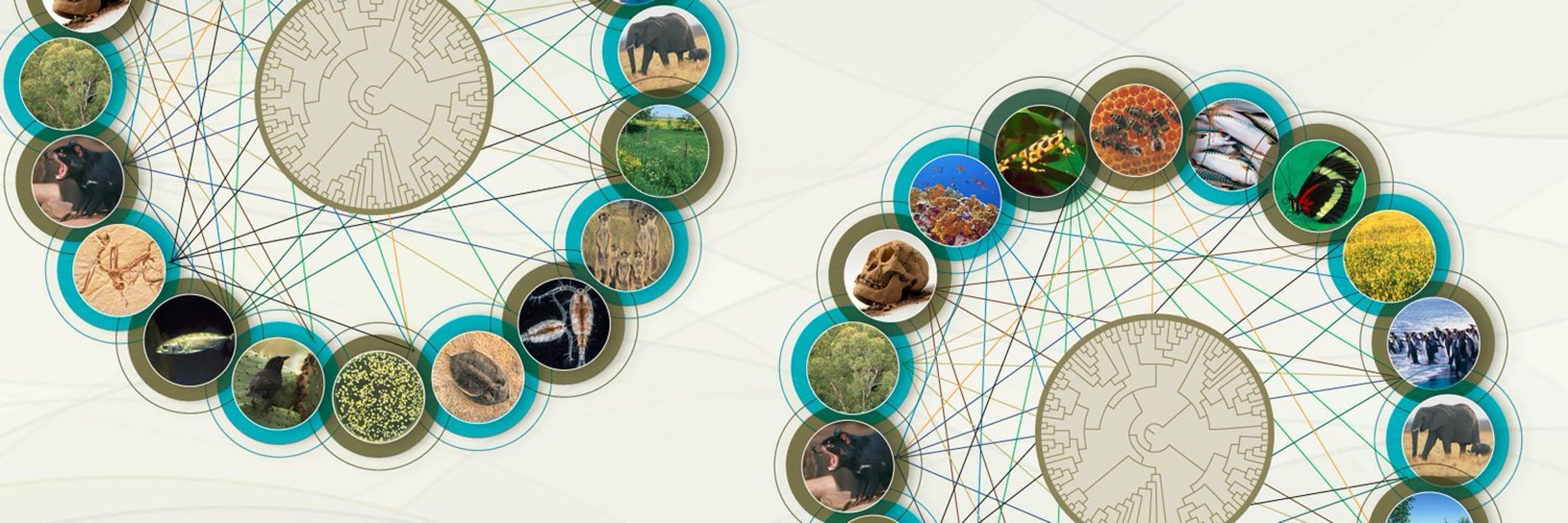 Nature Ecology & Evolution