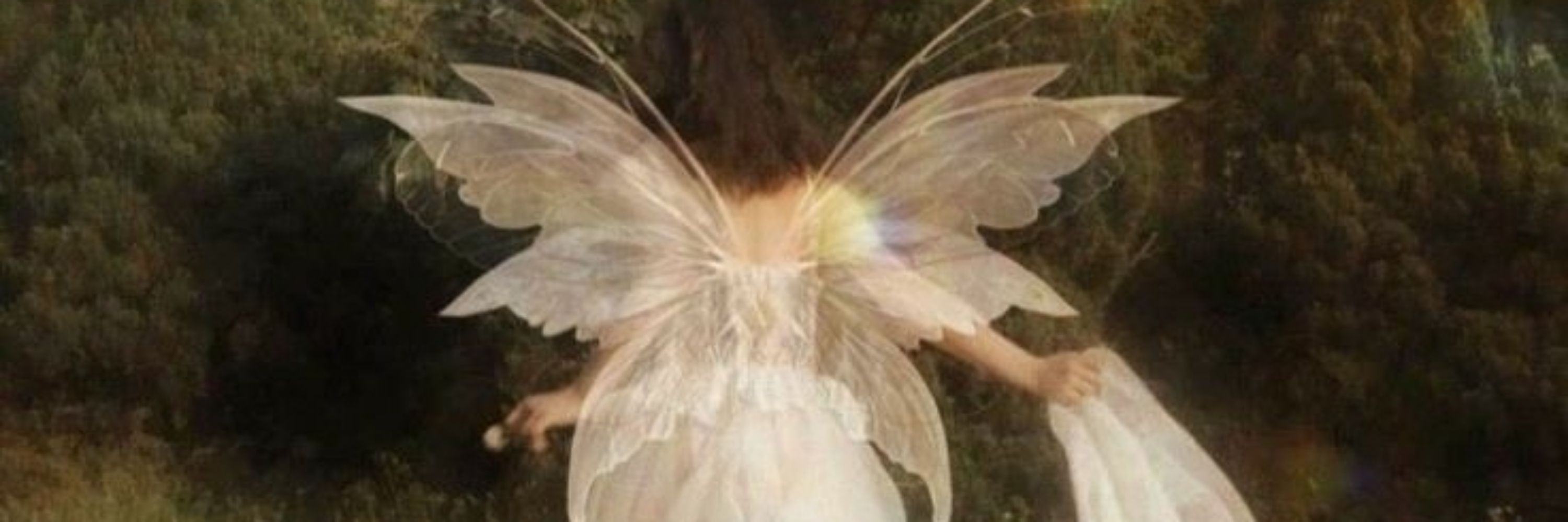 🧚‍♀️🧚‍♀️🧚‍♀️