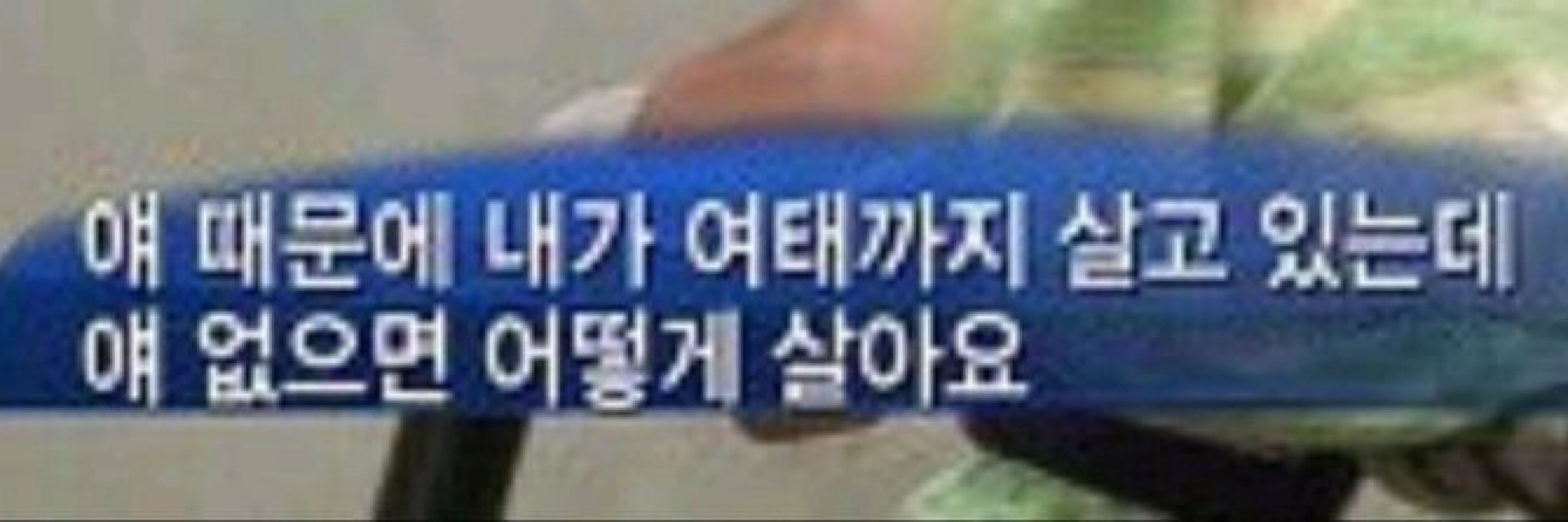 연우