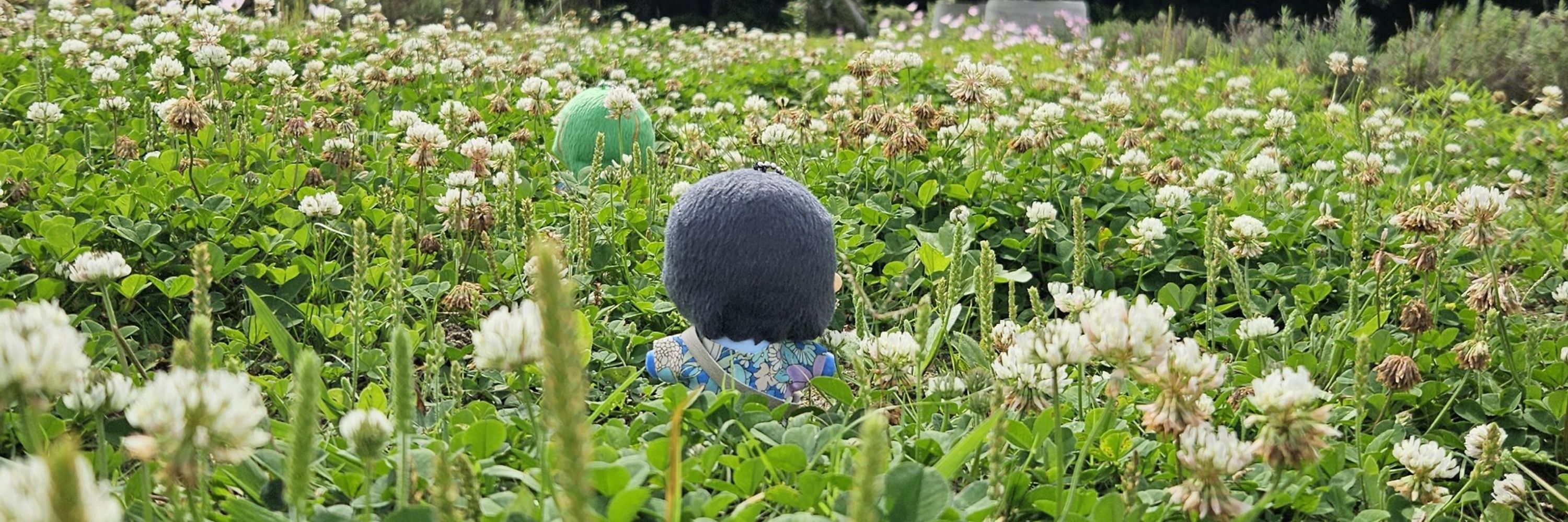 なのこ