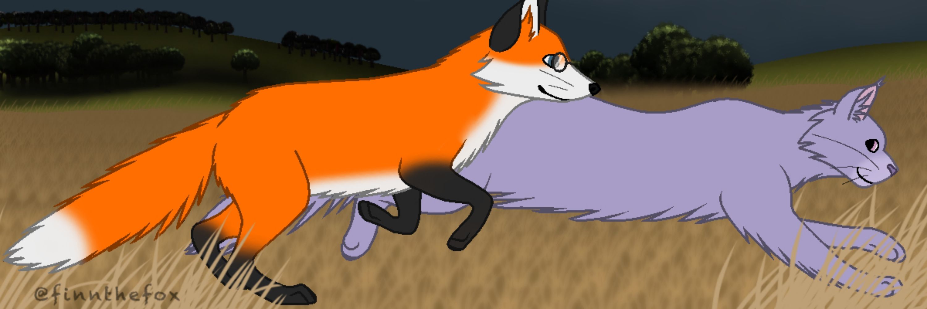finnthefox