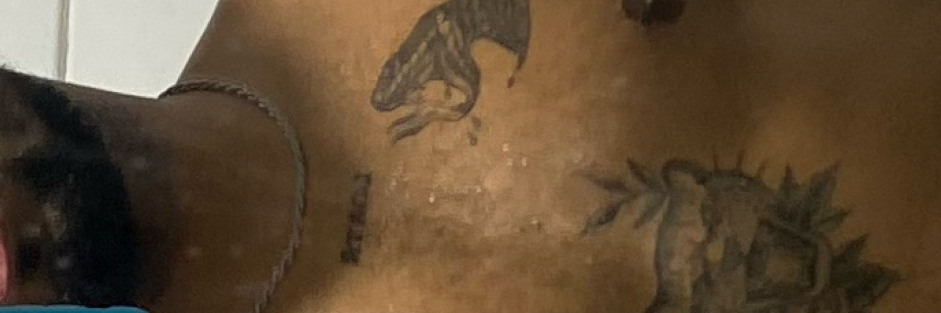 Negro Brahma 