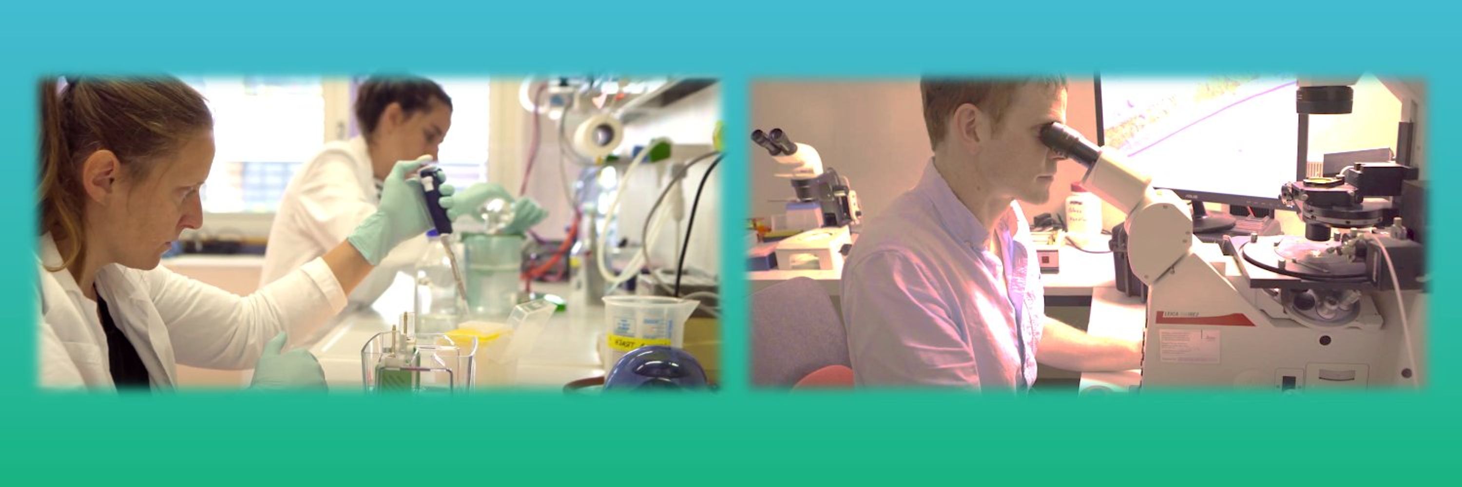 MOCEL - Molecular & Cellular Biology Dept - University of Geneva