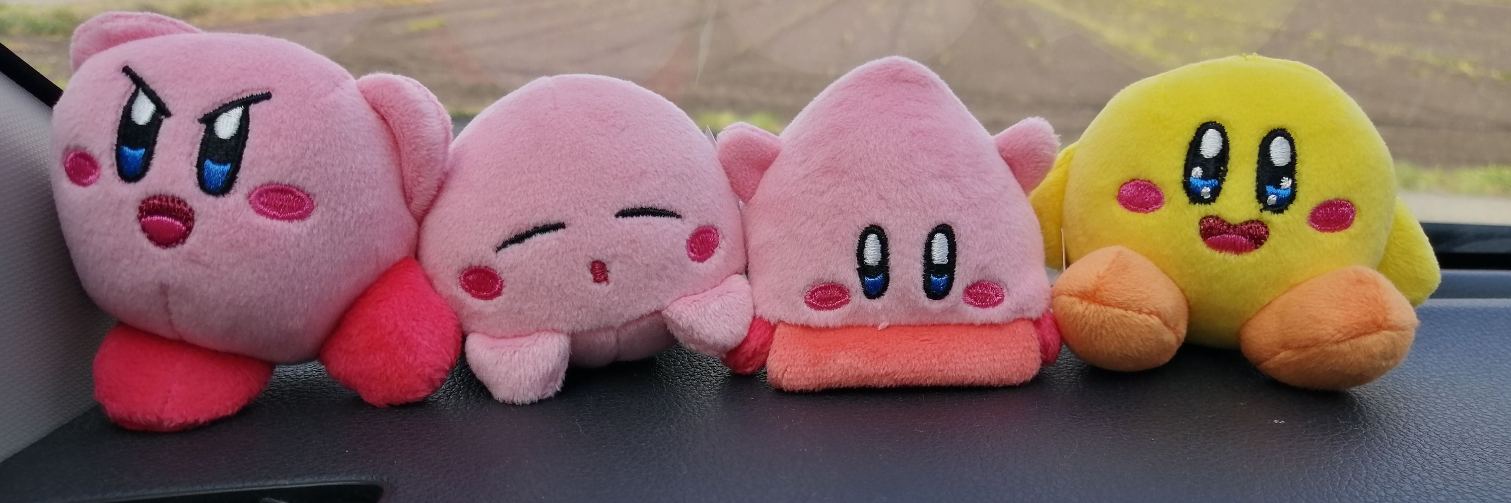 さきまる🐙