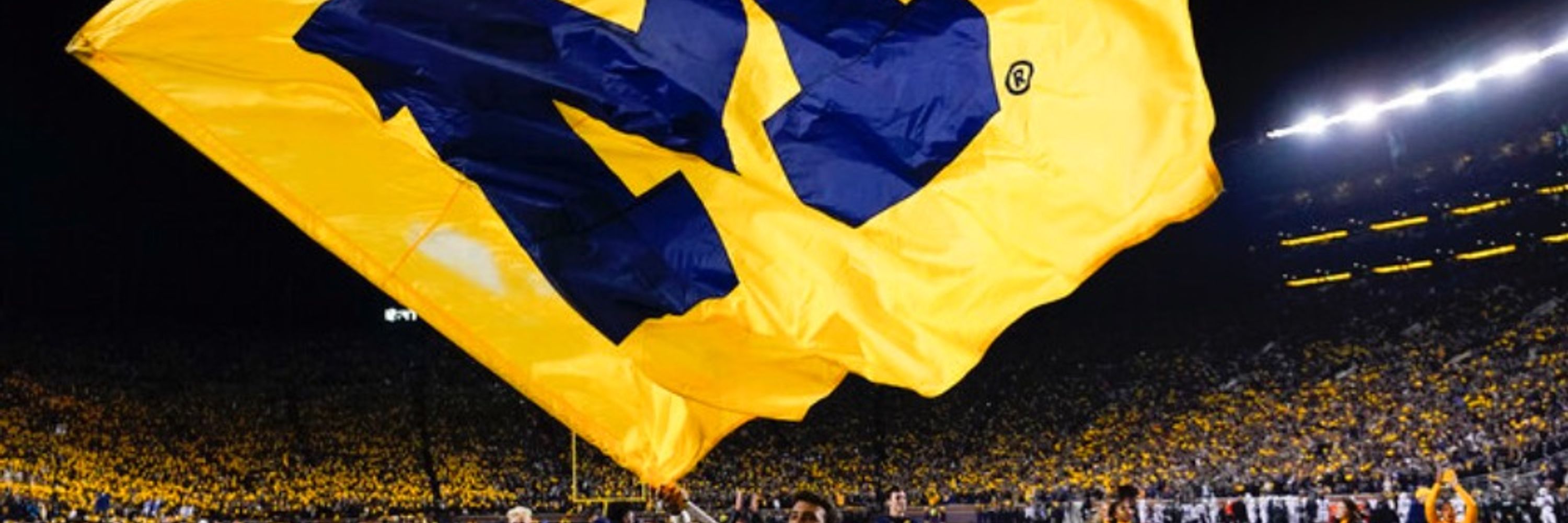 TitleIXGoBlue