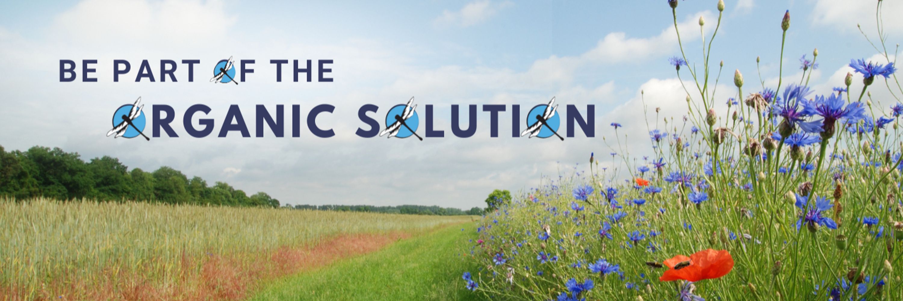 Beyond Pesticides