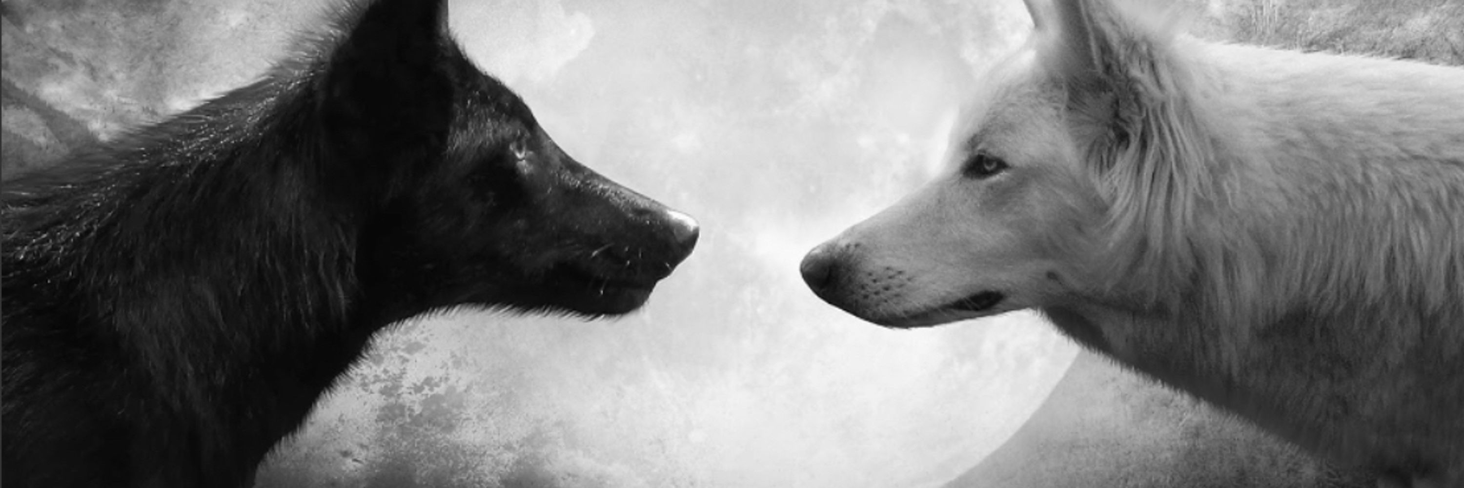 Two Wolf