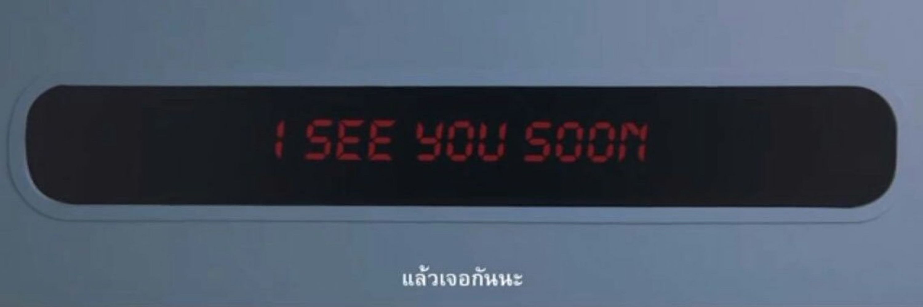 มะม๋า~kwong🦮